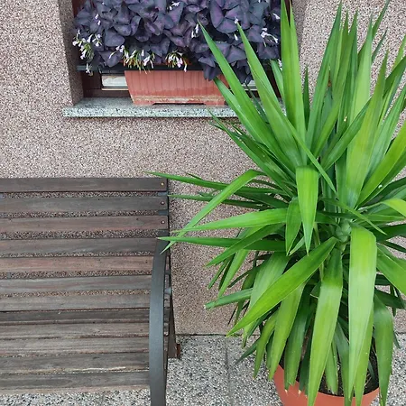 Apartma Marko Rogaska Rogaška Slatina