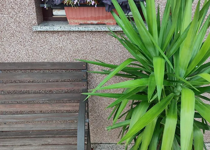 Apartma Marko Rogaska Рогашка Слатина